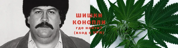 сатива Алзамай