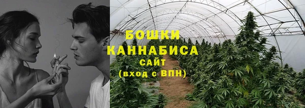 сатива Алзамай