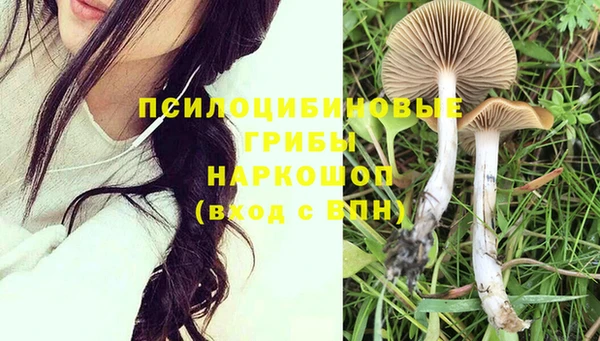 прущий лед Абдулино