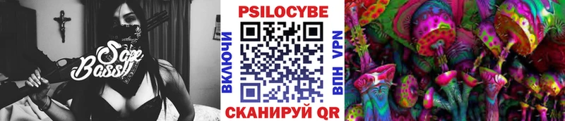 Псилоцибиновые грибы Psilocybe  где найти наркотики  Сатка 