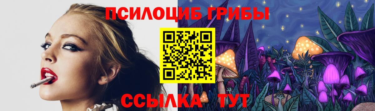 Псилоцибиновые грибы Psilocybine cubensis Сатка